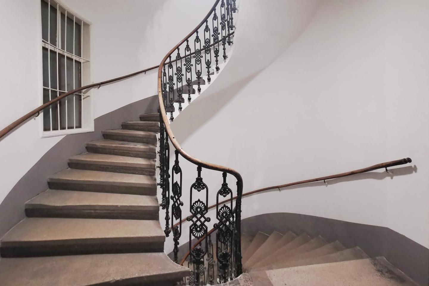 Vienna Palm Apartments Rom bilde
